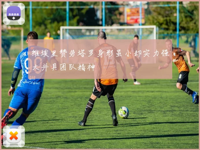 维埃里赞劳塔罗身形虽小却实力强大并具团队精神