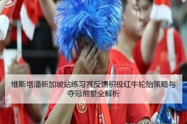 维斯塔潘新加坡站练习赛反馈积极红牛轮胎策略与夺冠前景全解析